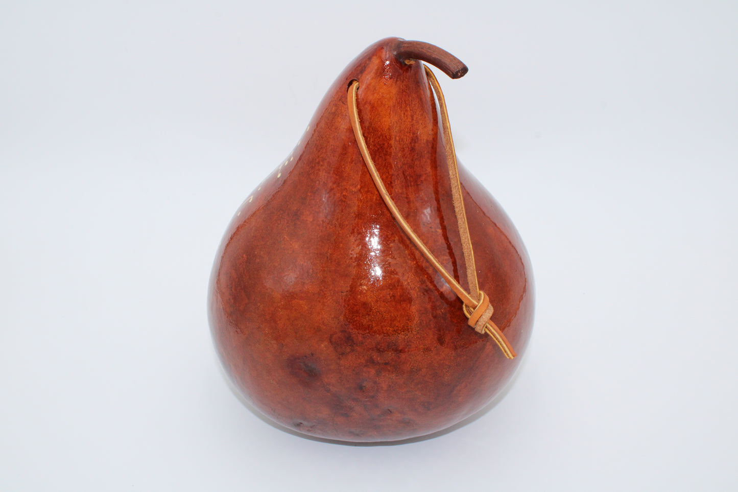Gourd Sunflower birdhouse