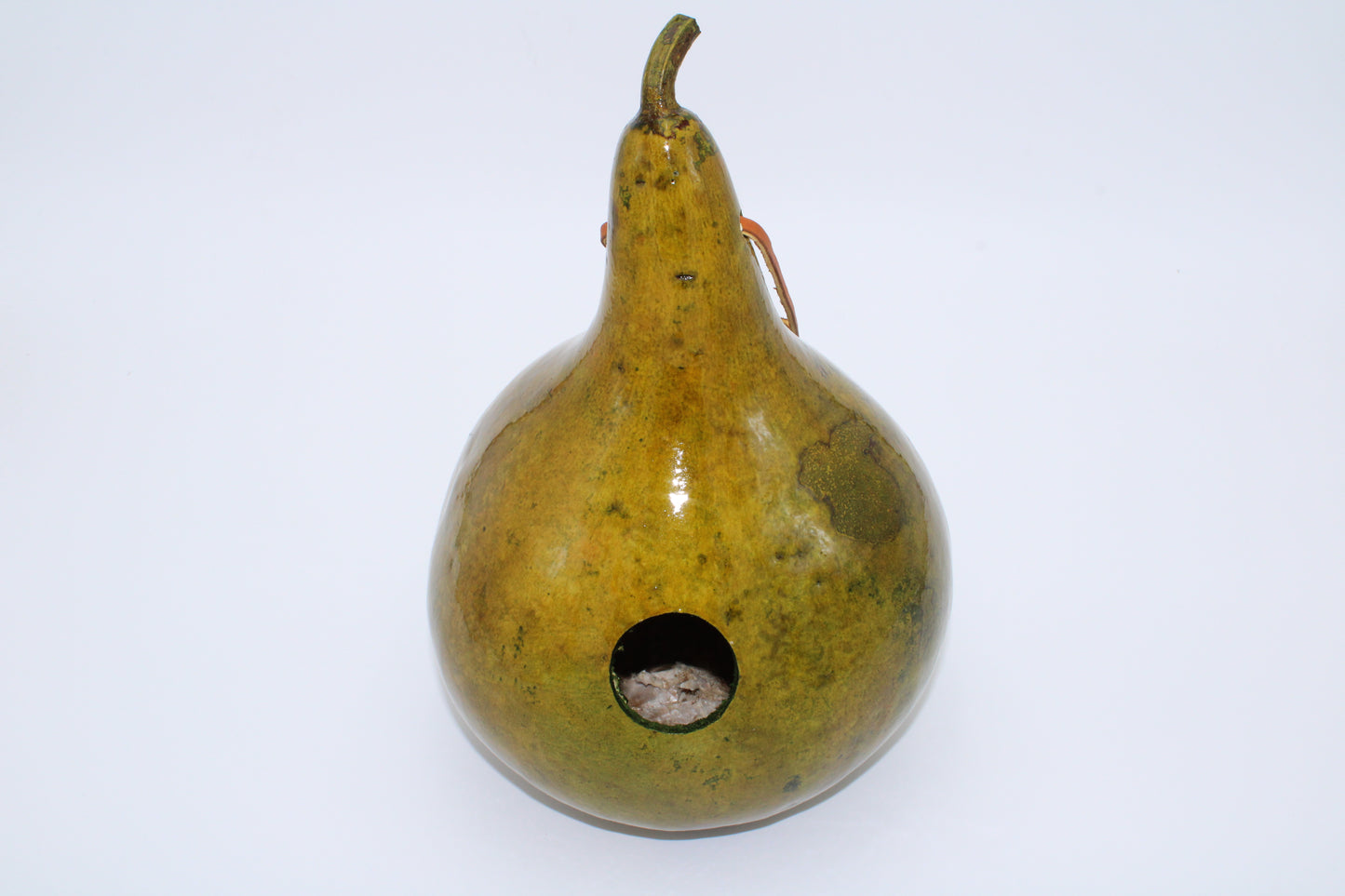 Gourd Birdhouse Fall Green