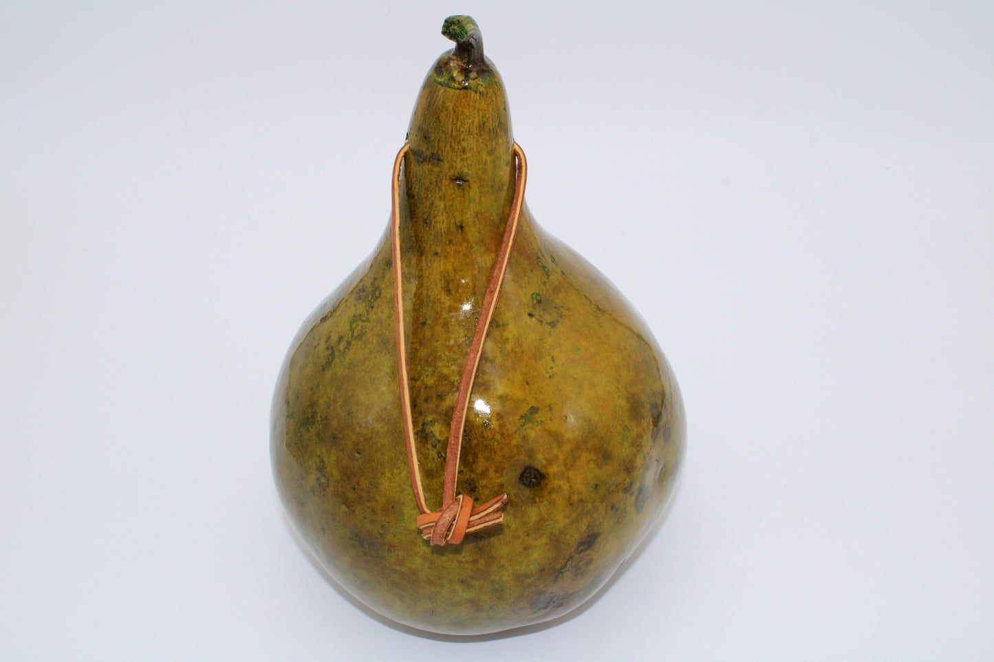Gourd Birdhouse Fall Green