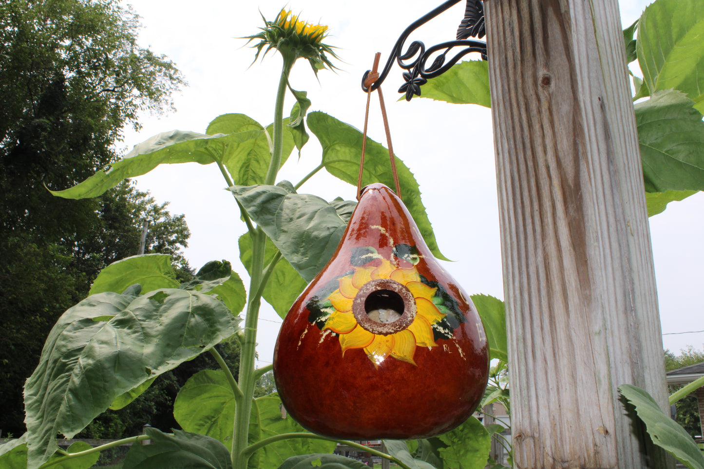 Gourd Sunflower birdhouse