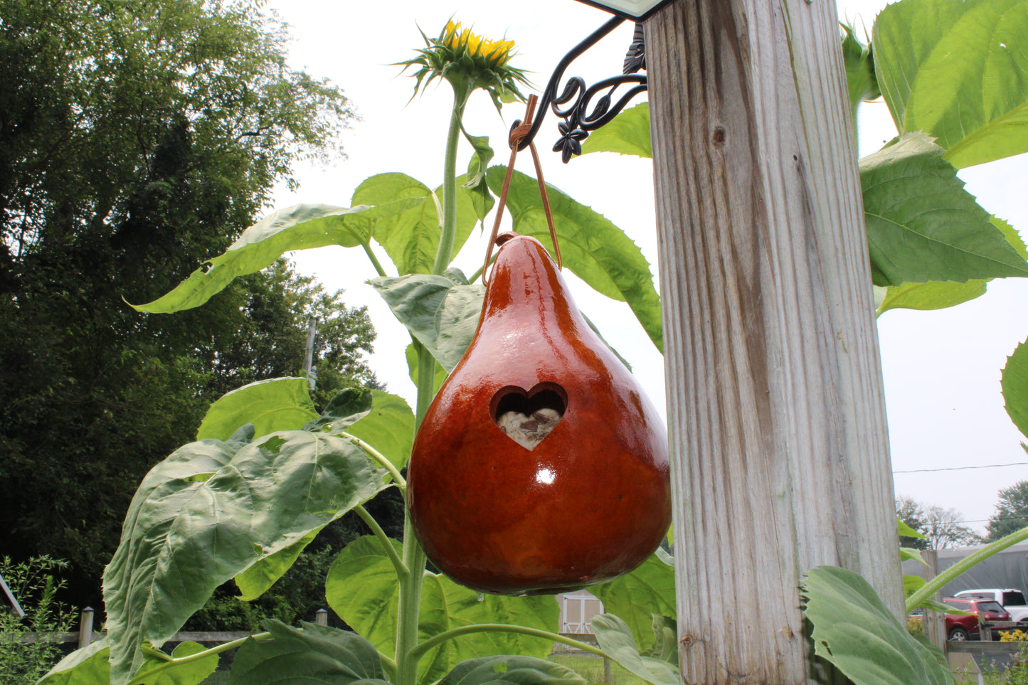 Gourd Heart Birdhouse Saddle Tan