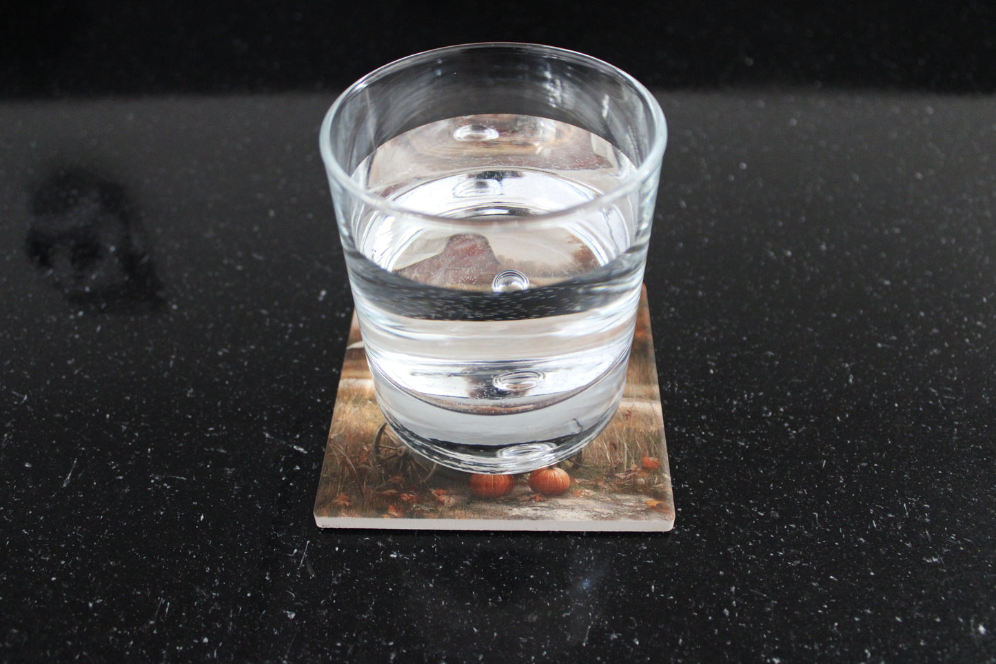 Fall Scene Drink Coasters set of 4