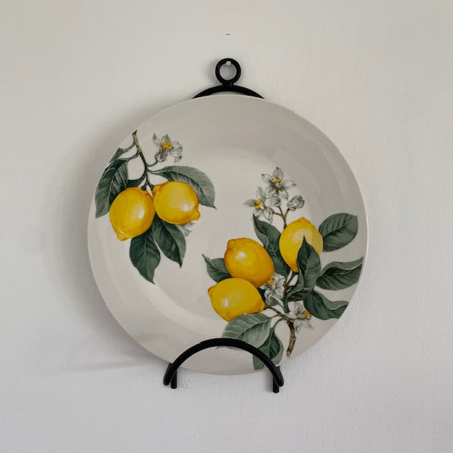 Primitive Iron Plate Holder Wall Mount