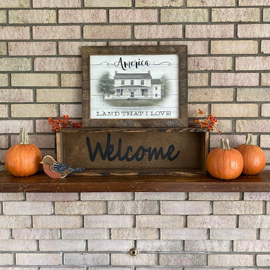 American Framed Artwork Land That I Love