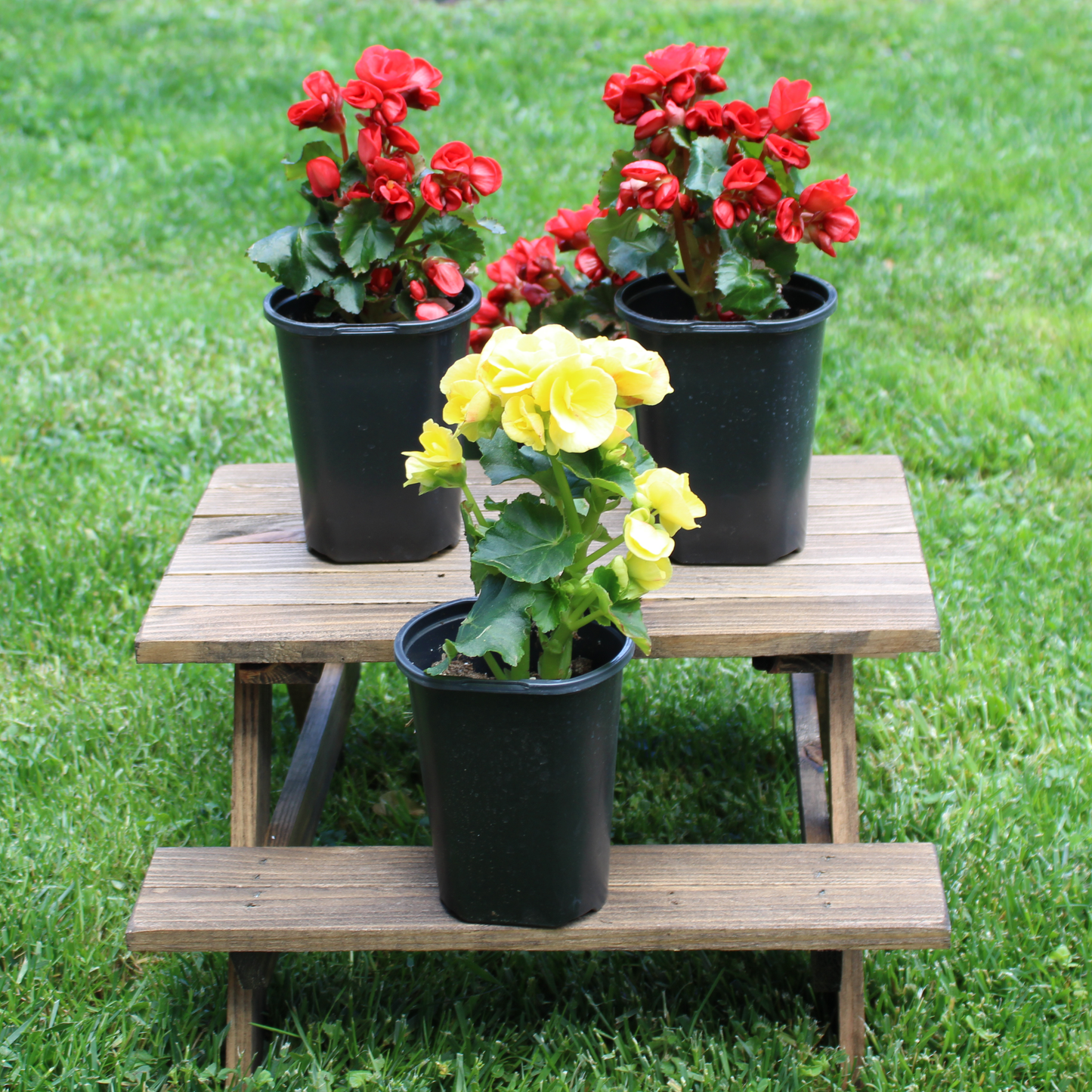Mini Wood Picnic Table