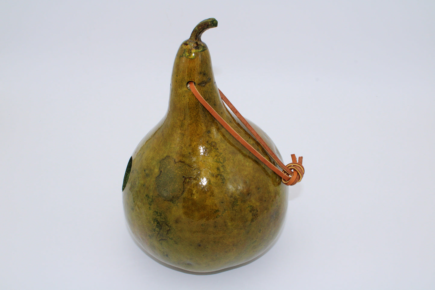 Gourd Birdhouse Fall Green