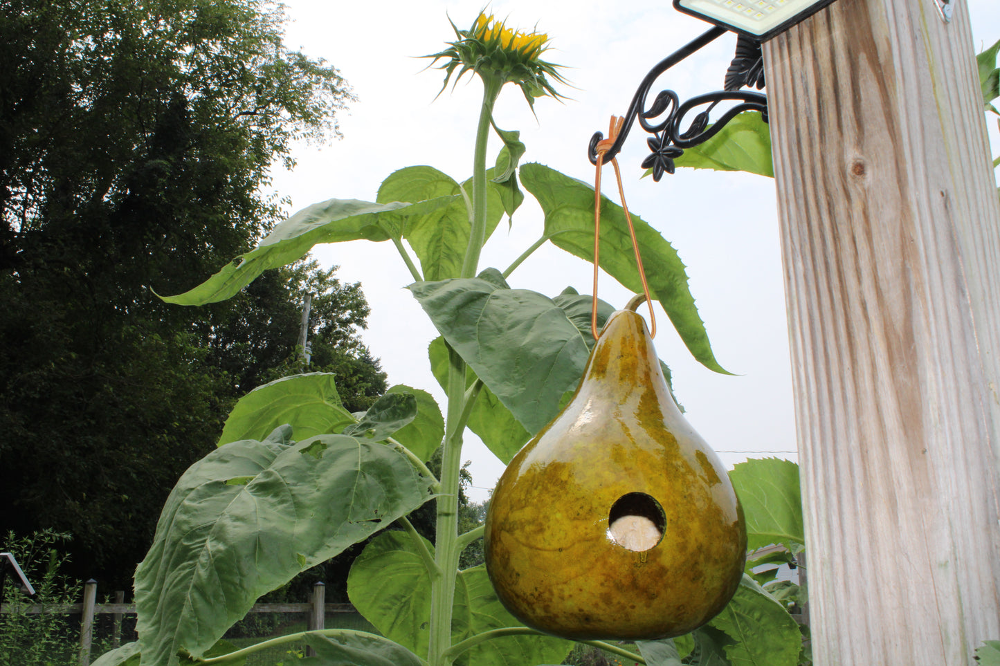 Gourd Birdhouse Fall Green