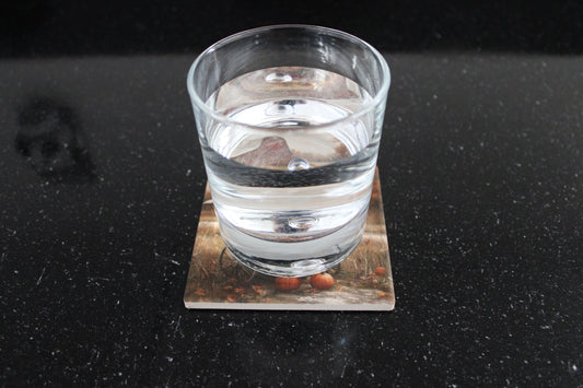 Fall Scene Drink Coasters set of 4