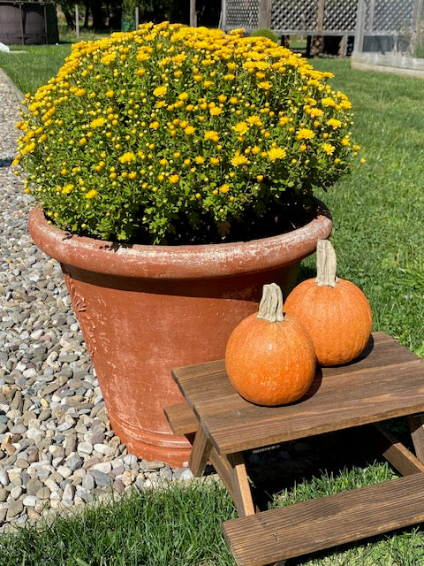 Mini Wood Picnic Table