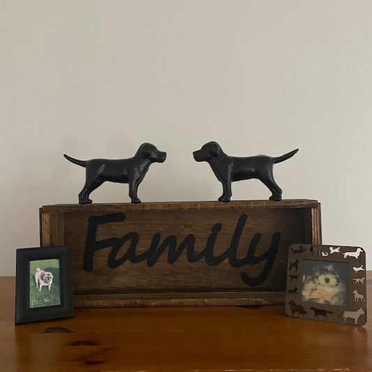 Family Shadow Box